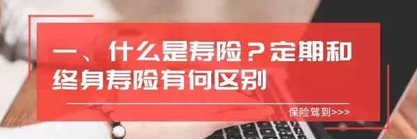 寿险买什么险最划算,寿险哪款产品好