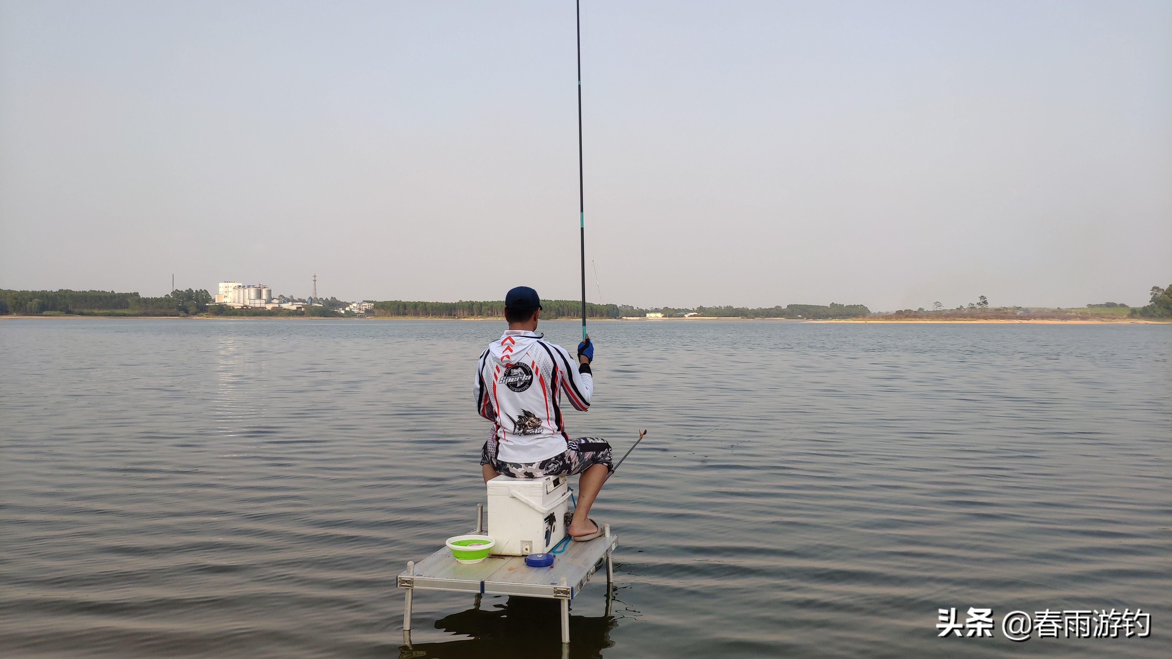 邕江小罗非闹窝,北海清水江钓罗非