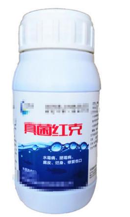 观赏鱼交叉感染最佳时间,观赏鱼交叉感染怎么处理