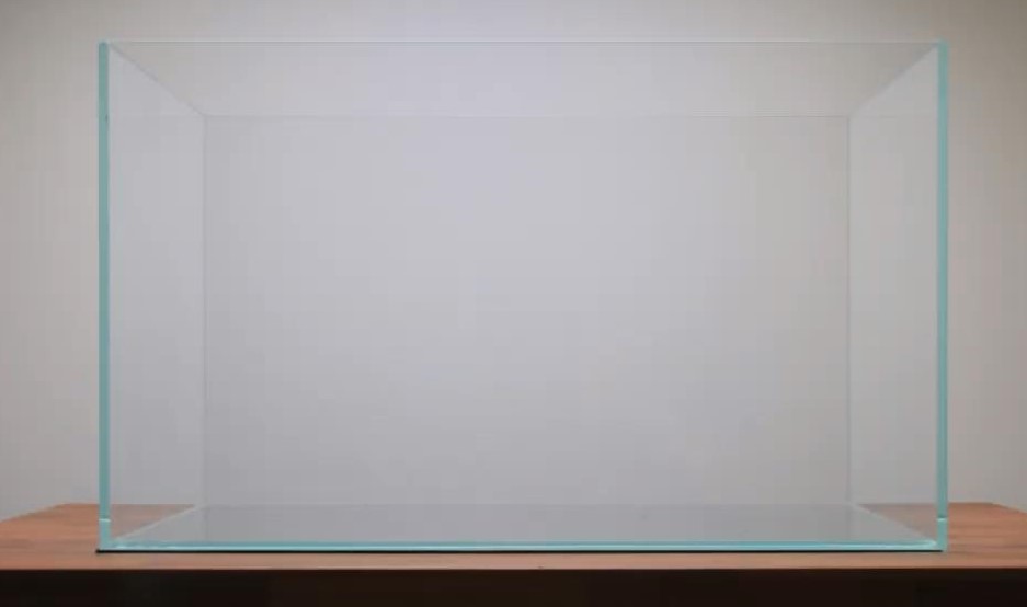 鱼缸最简单的草缸造景教程,鱼缸造景草栽种教程