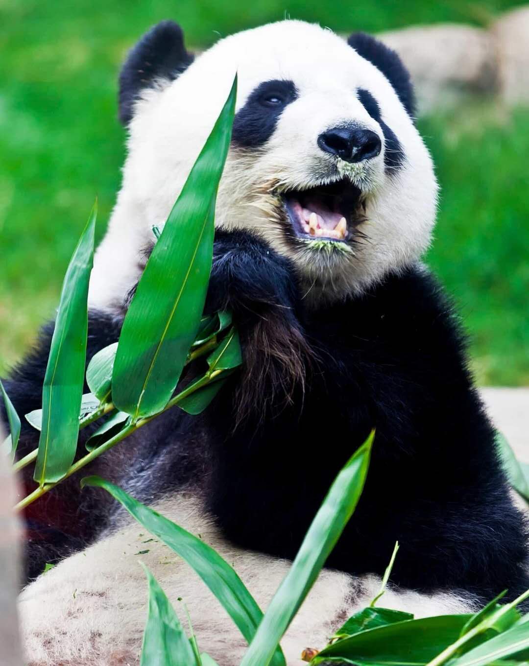 优衣库创新分析,优衣库为什么能超越中国服装品牌