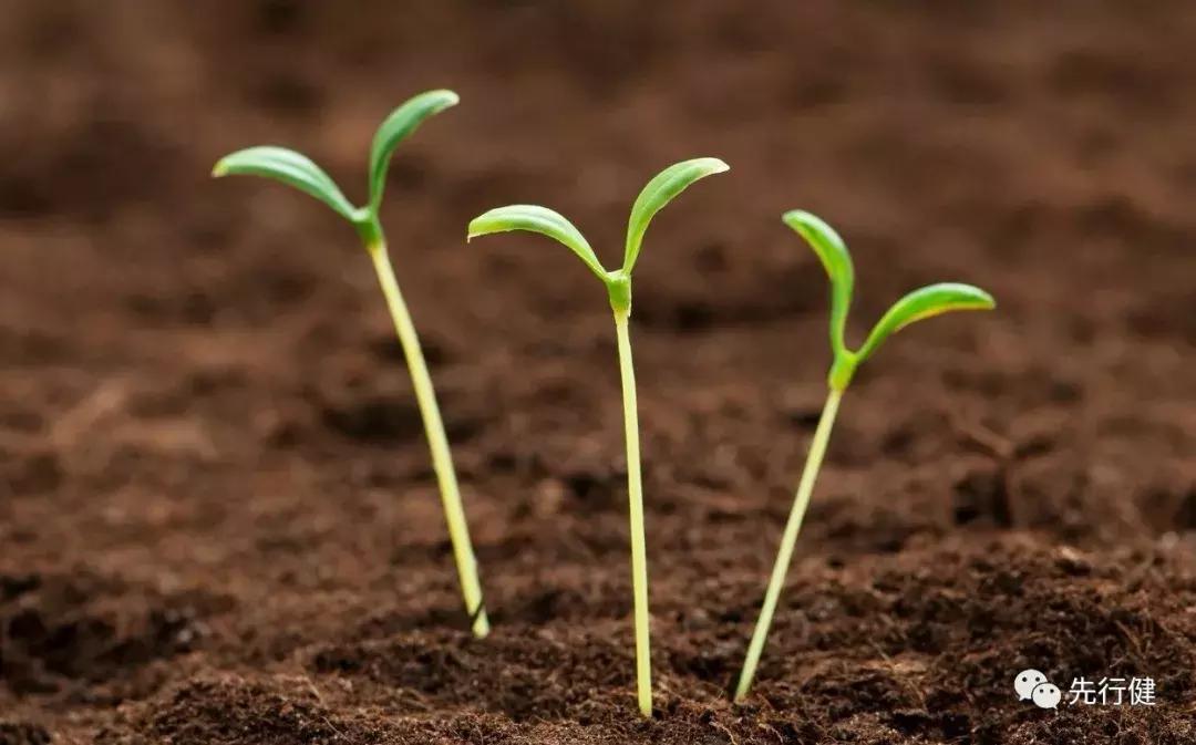 治疗癌症必须要做好哪些,剖析西医对癌症的治疗