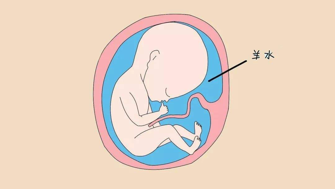 准妈妈宫缩羊水破了大宝安慰,准妈妈羊水破了