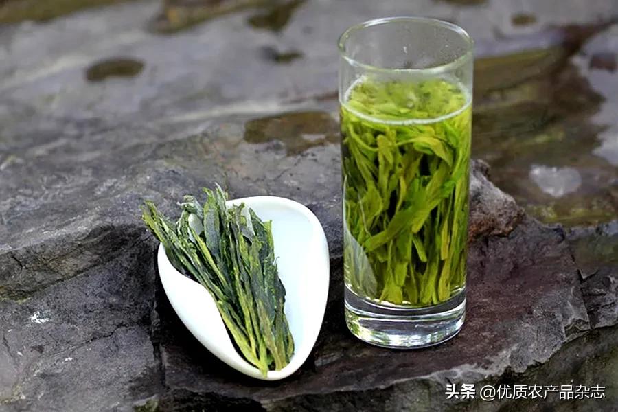 太平猴魁的渊源,百年太平猴魁