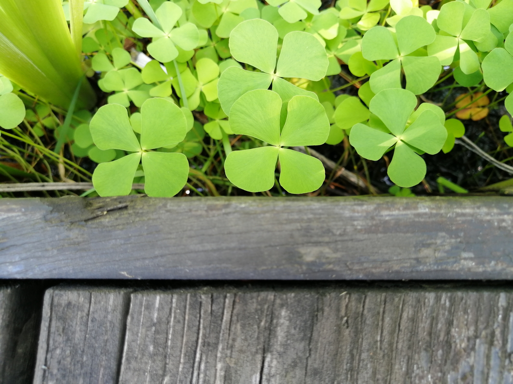 华为麦芒8优点,华为麦芒8的优点