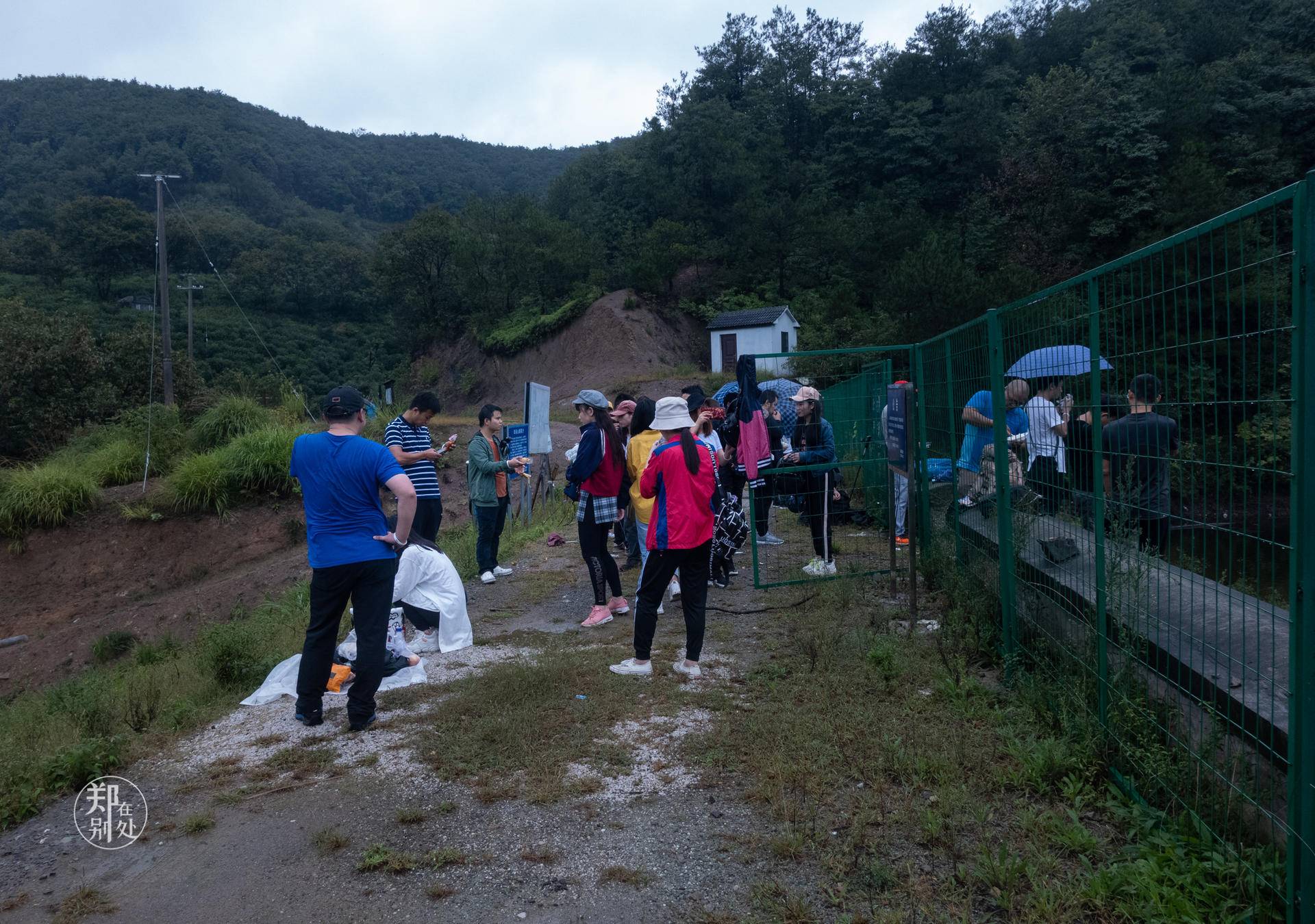 香榧古道,香榧古道徒步路线哪条景色美