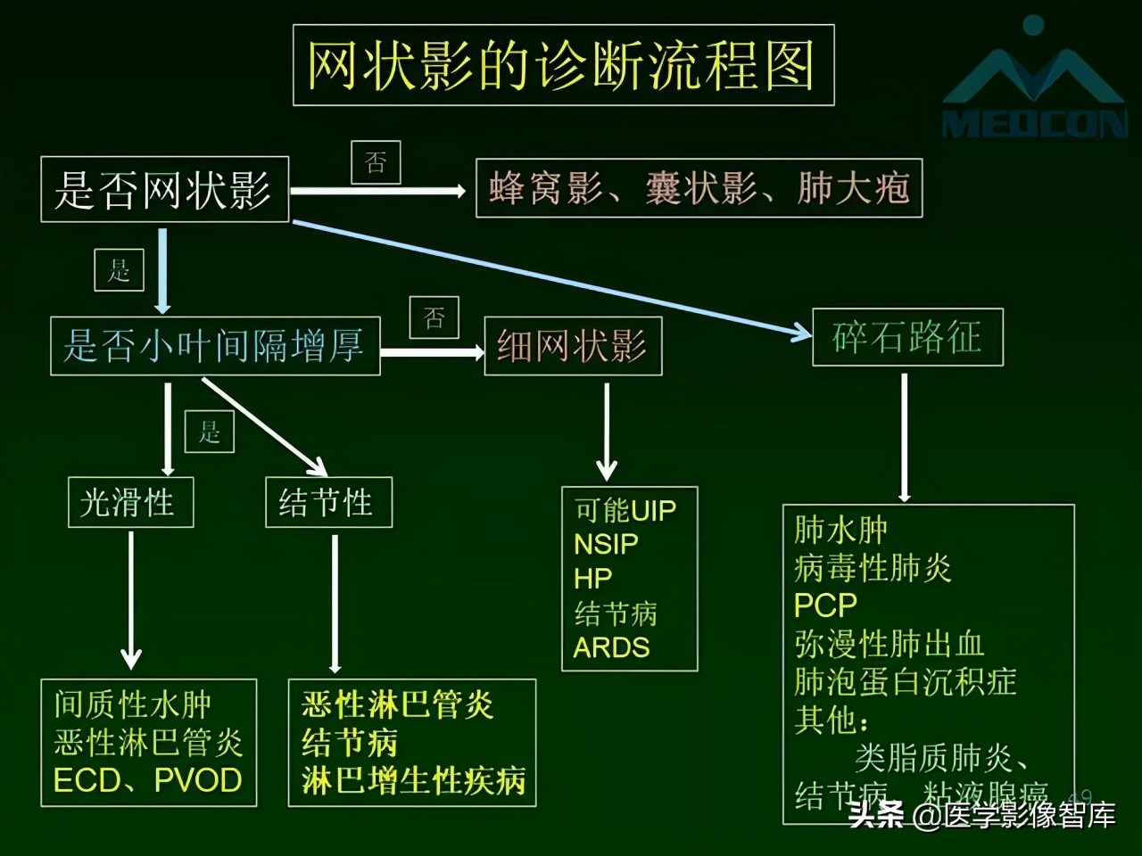 肺弥漫性网状影,两肺小叶间隔增厚可见网状模糊影