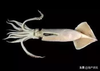 硬核科普全部,硬核科普大全视频