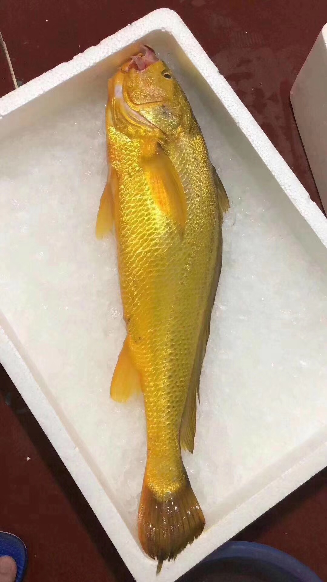 东海海鲜美食大全,家乡特色海鲜美食