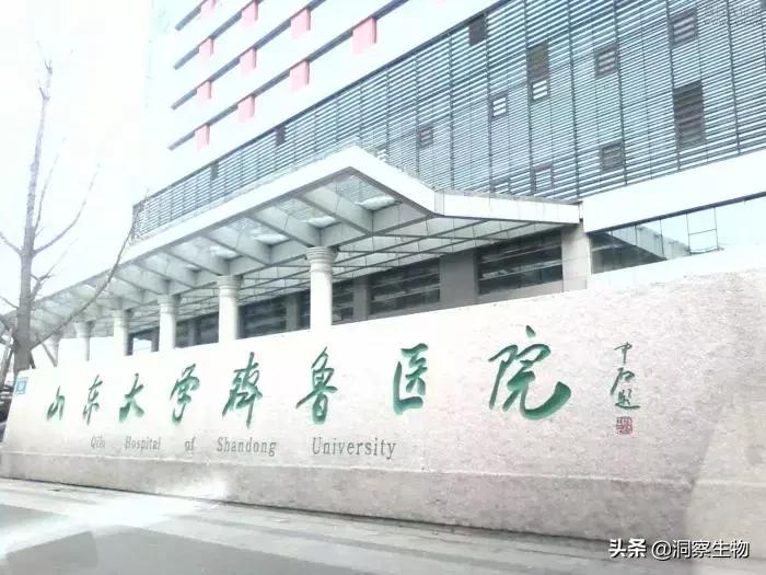 并入山东大学后实力下滑严重，“东齐鲁”已不负盛名