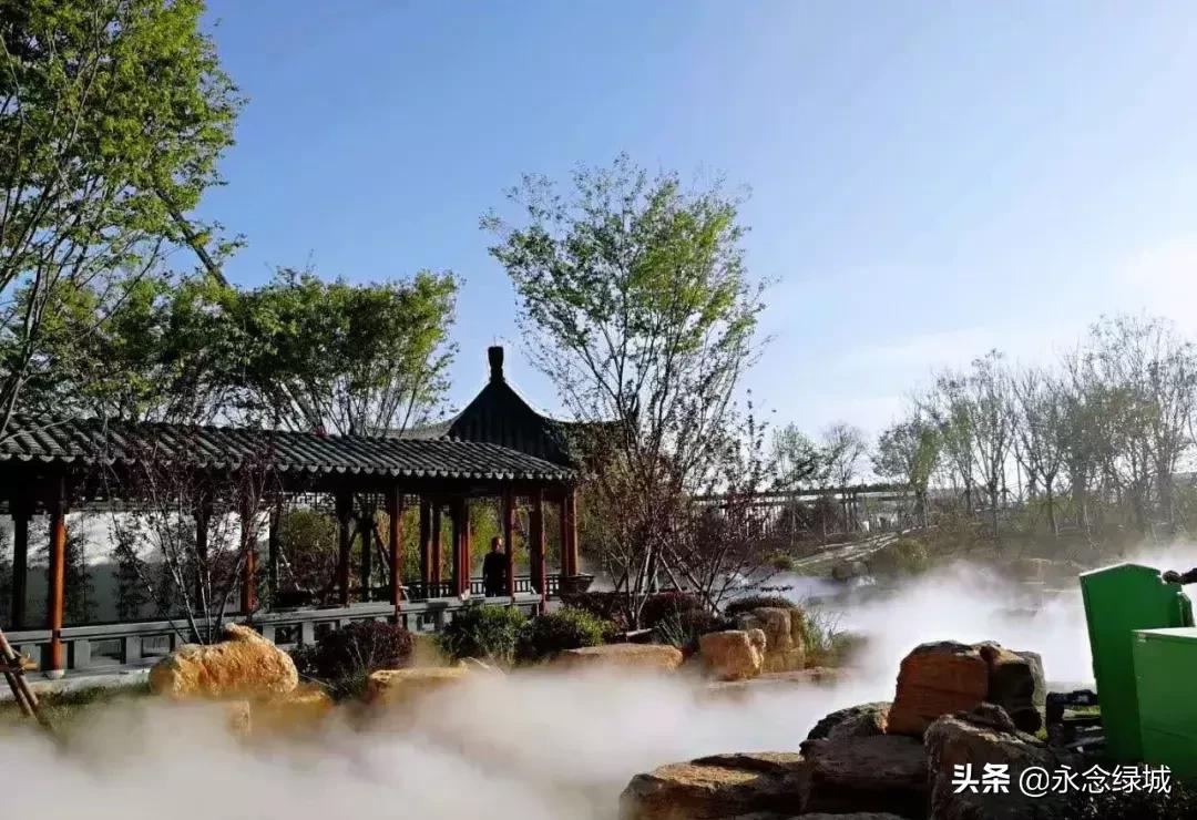 南阳世界月季大观园开幕邀请,南阳月季大观园门票现在免费政策