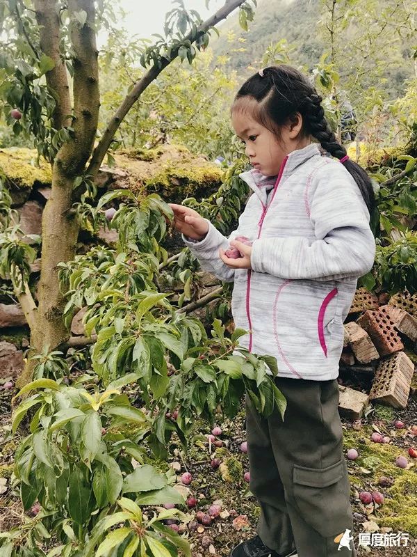 茶马古道重镇旅行,茶马古道旅行