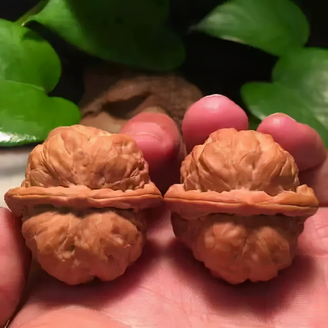 核桃如何盘得油光发亮,新手盘核桃如何让它快速上色