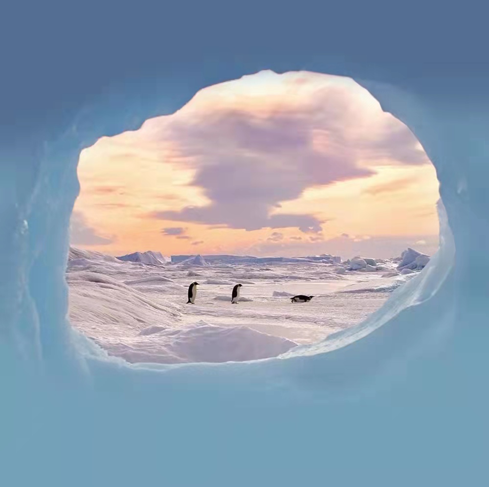 那些小说里惊艳了你的文案,那些堪称神来之笔的小说开头文案