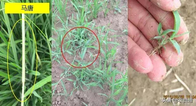 <html>
<head><title>502BadGateway</title></head>
<body>
<center><h1>502BadGateway</h1></center>
<hr><center>nginx</center>
</body>
</html>
<!--apaddingtodisableMSIEandChromefriendlyerrorpage-->
<!--apaddingtodisableMSIEandChromefriendlyerrorpage-->
<!--apaddingtodisableMSIEandChromefriendlyerrorpage-->
<!--apaddingtodisableMSIEandChromefriendlyerrorpage-->
<!--apaddingtodisableMSIEandChromefriendlyerrorpage-->
<!--apaddingtodisableMSIEandChromefriendlyerrorpage-->
