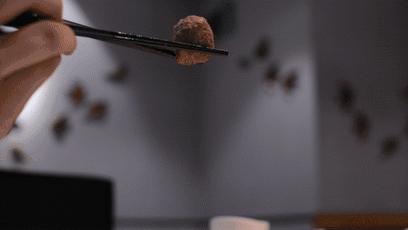 齐祺渔锅关门后怎么退会员卡,齐祺渔锅剩下的能吃不