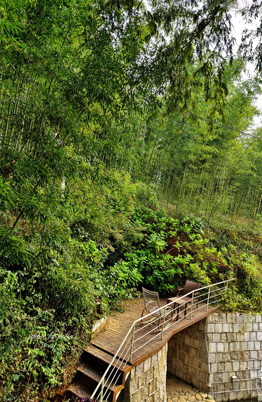 黑胶·旅人·酒|莫干山的月亮是橙色的