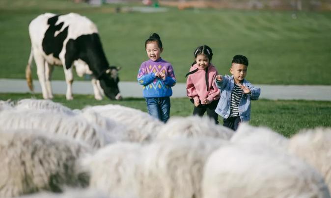 2023年三寰牧场最新攻略,三寰牧场攻略最新