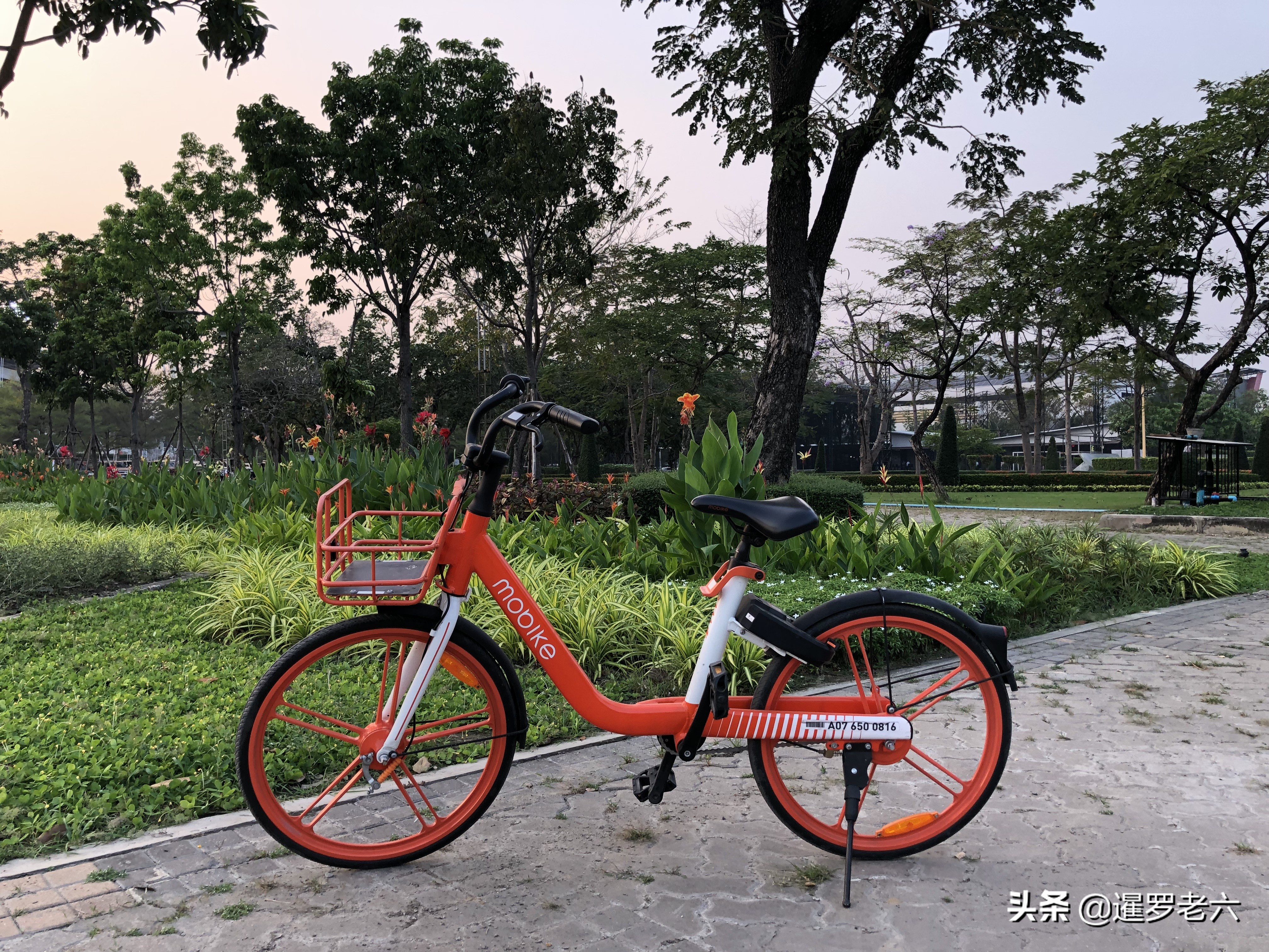 泰国曼谷联亚冠资格赛,带老爸去看广东队比赛