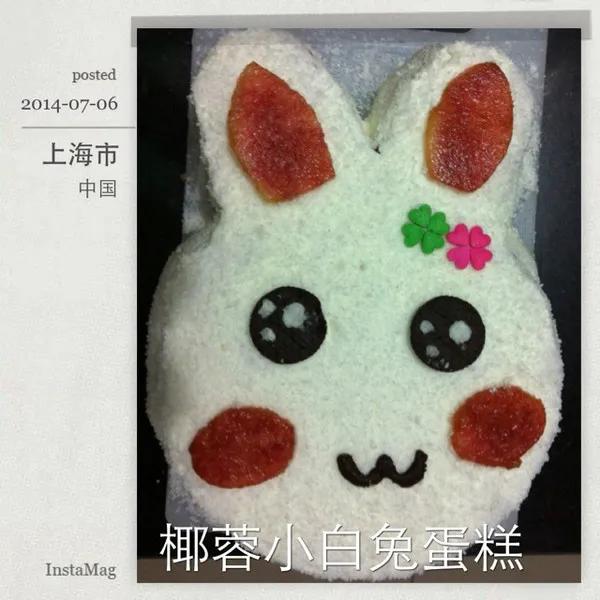 朵妈和她做的蛋糕们