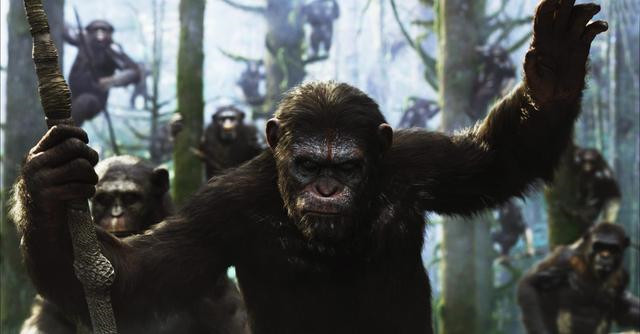 地球上第一个人是谁是怎么来的,地球上第一个人是从何而来