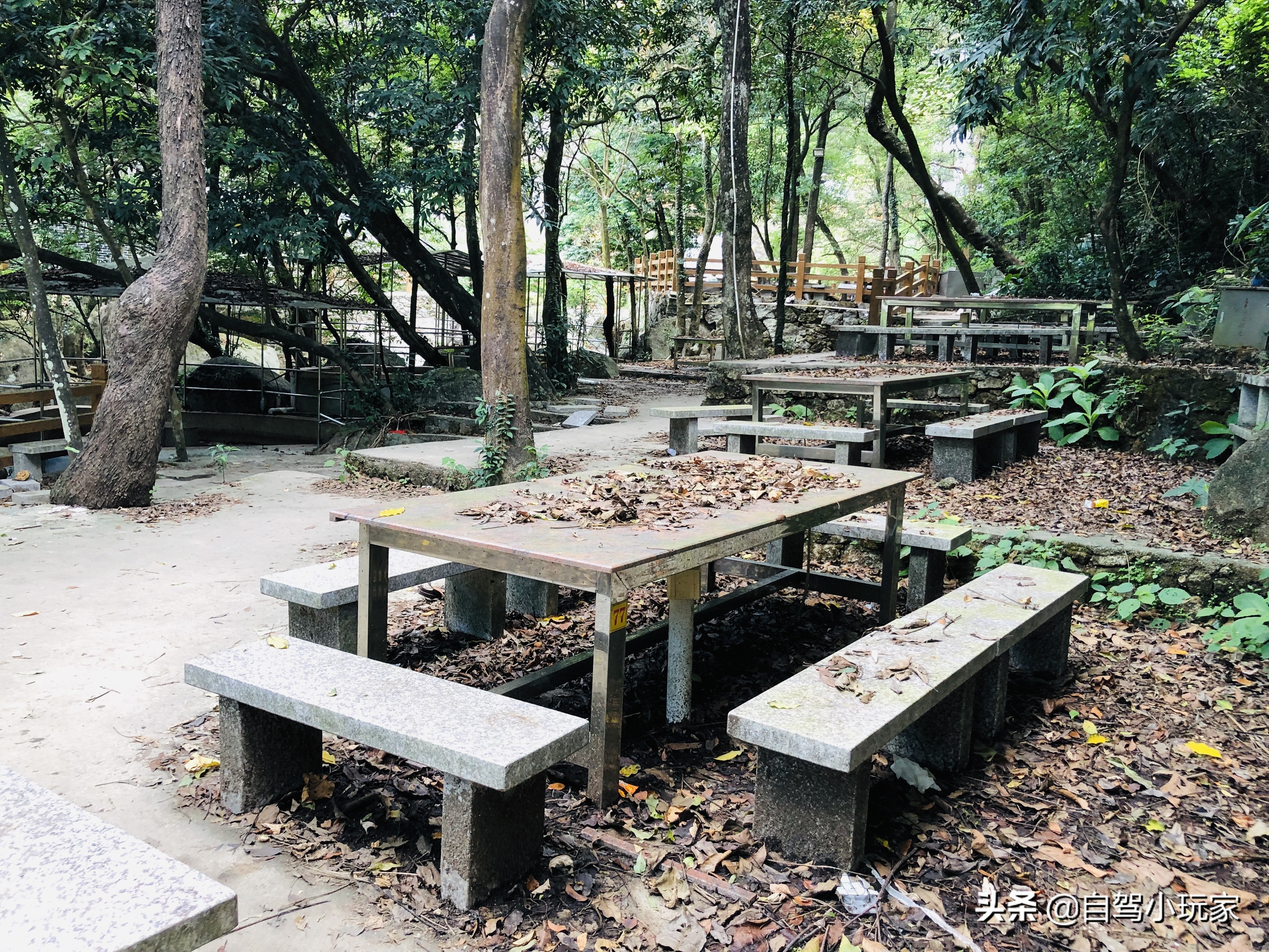 冰泉谷免费景点推荐,冰泉谷有什么好玩的地方