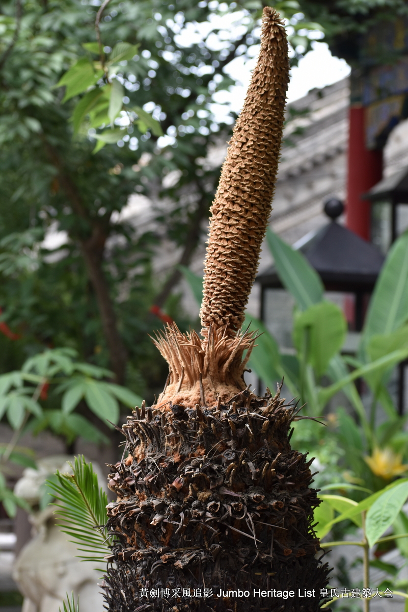 第3356回:伏虎卧龙寺碛砂藏,地宫重器真身舍利