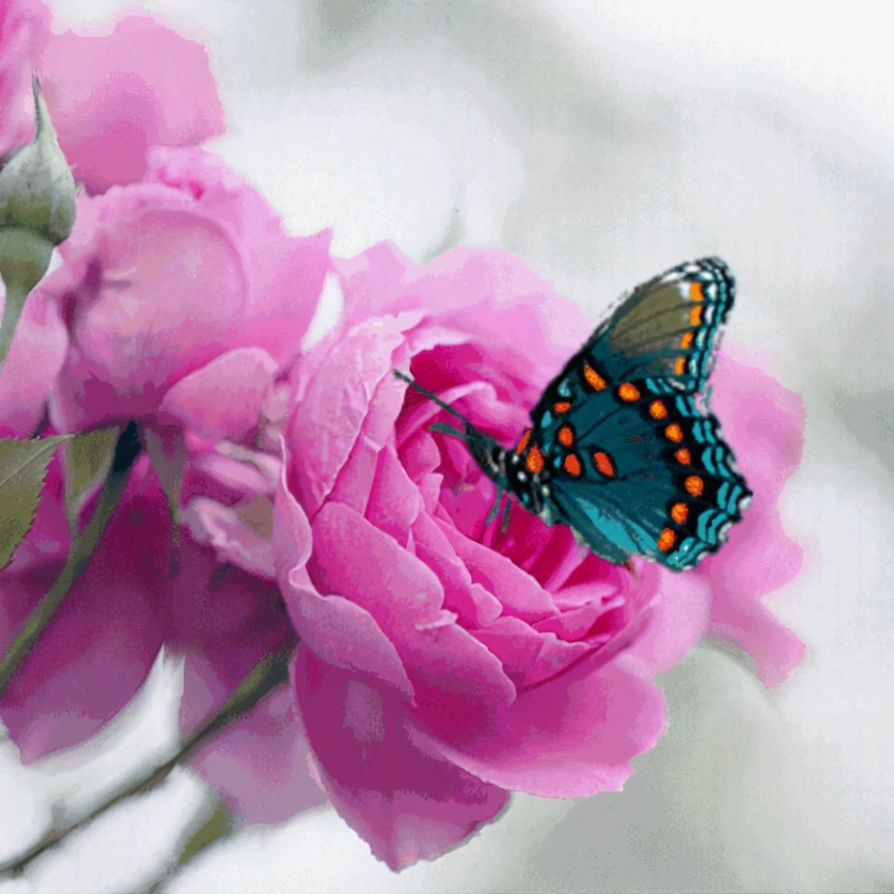 学海无涯乐作舟作文,学海无涯乐作舟