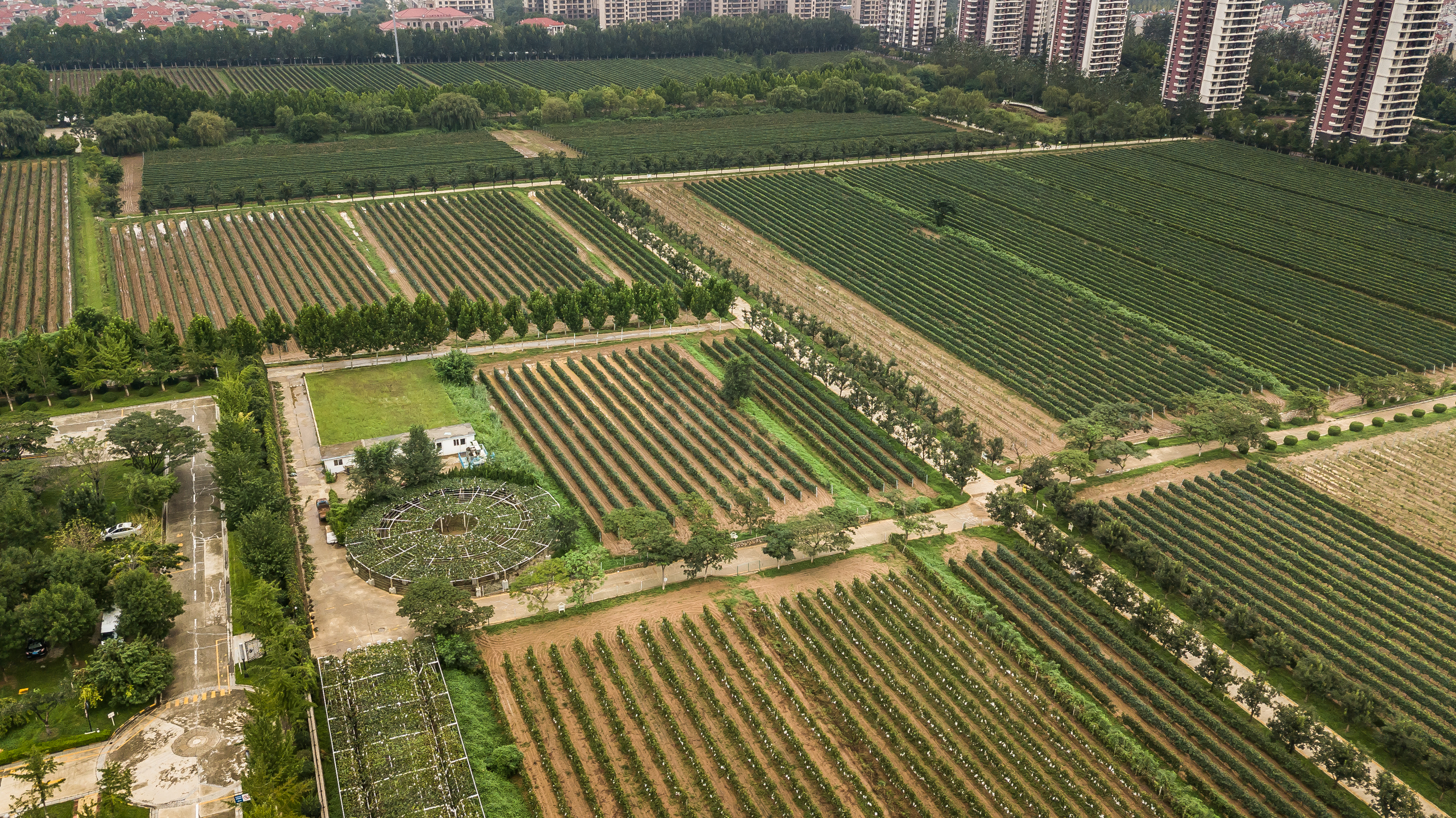 烟台卡斯特酒庄图片欣赏,烟台张裕卡斯特酒庄diy罐装酒