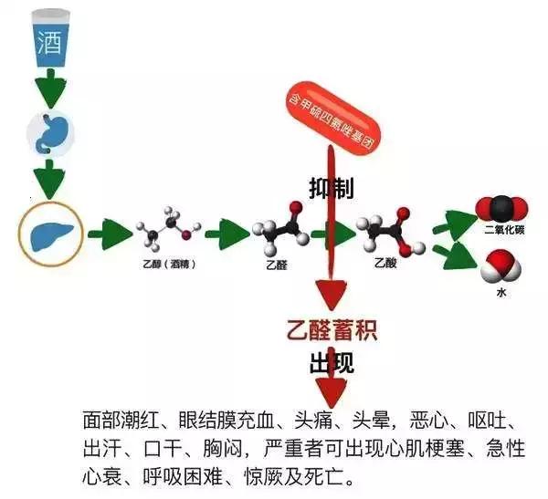 杏林药苑｜用药小贴士：服用特殊药物千万别喝酒