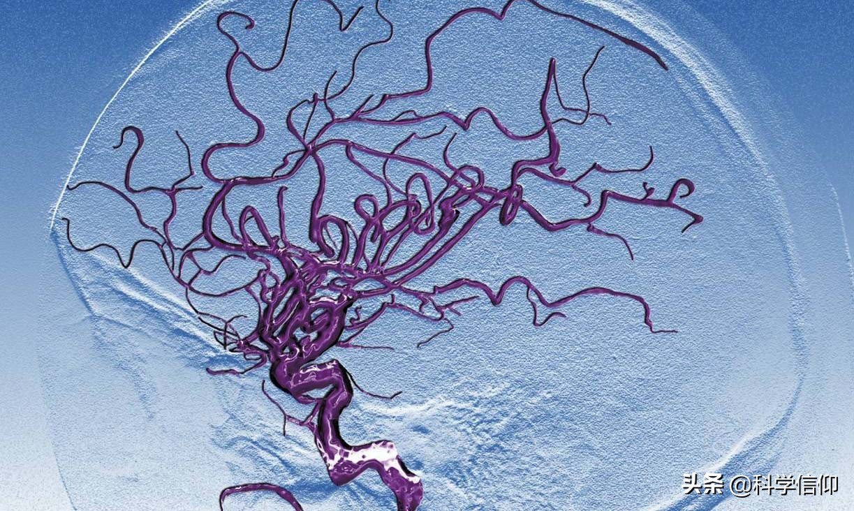 人类大脑开发到了何种程度,人类大脑开发到100%视频