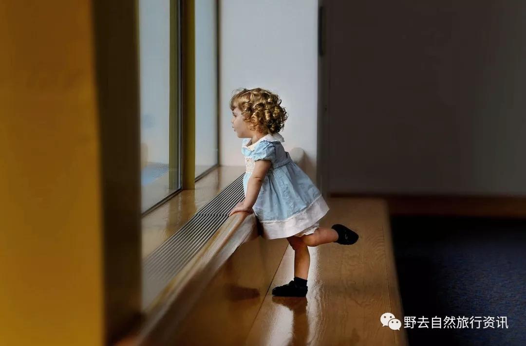 待疫情平息,和孩子一起探索“失落的世界”婆罗洲原始雨林