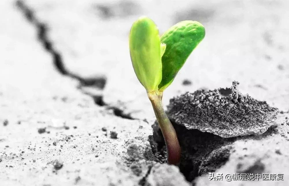 肩膀处抬不起,肩膀抬不起来感觉卡住了