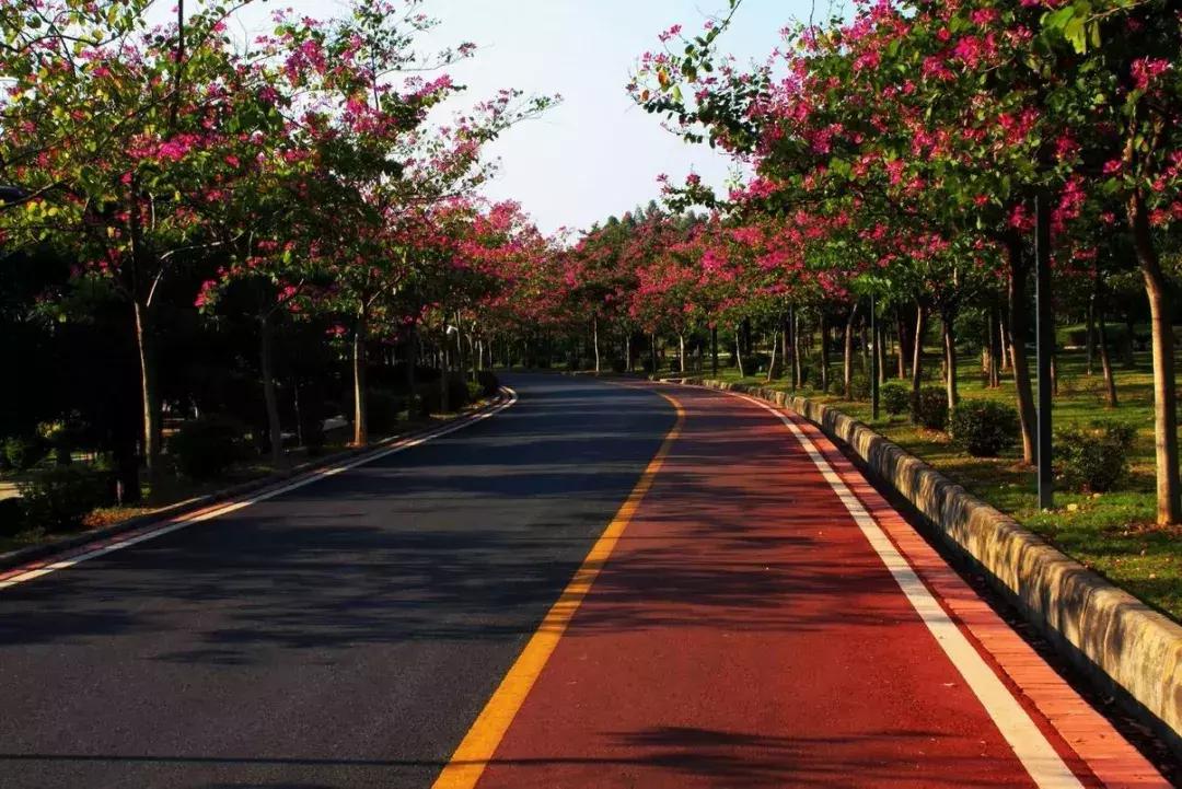 广东适合度假的酒店推荐含自助餐,广州度假酒店推荐三天两晚