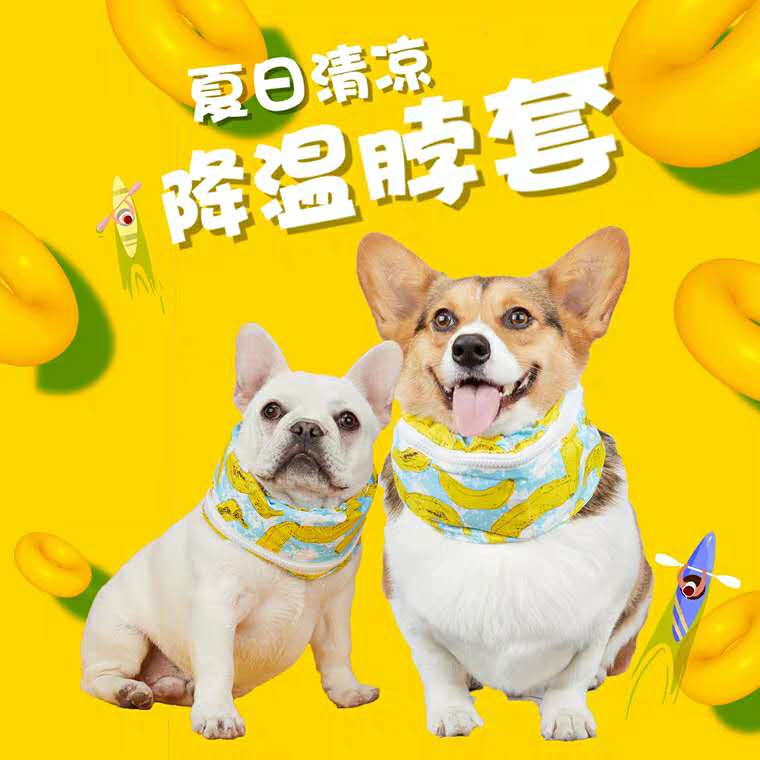 降温神器狗,夏季给狗降温神器