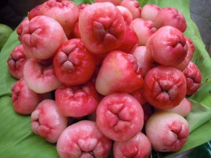 痔疮发展到哪个阶段可以考虑手术,痔疮手术看似简单