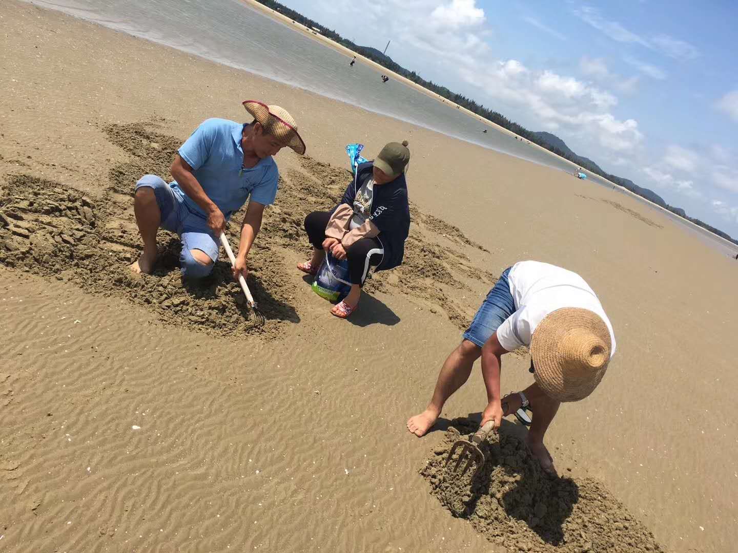 广东必去的沙滩旅游景点,广东十个露营的海岛