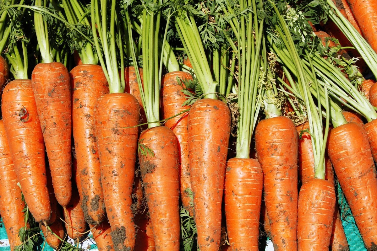 保健品原料保护视力叶黄素,保护视力叶黄素哪个好