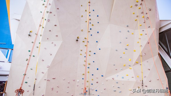 邮轮游选择哪个游轮好,邮轮旅游全攻略公主号