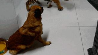 儿童益智玩具黑科技,实用的益智玩具信息