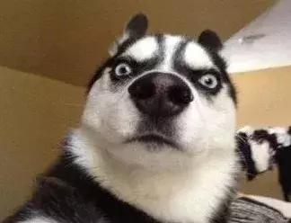 血橙面膜有没有问题,韩国血橙面膜到底是真是假