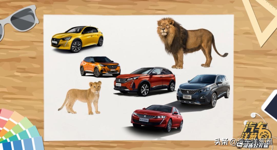 把狮子放在森林上会怎么样,把狮子放在笼子里会怎么样