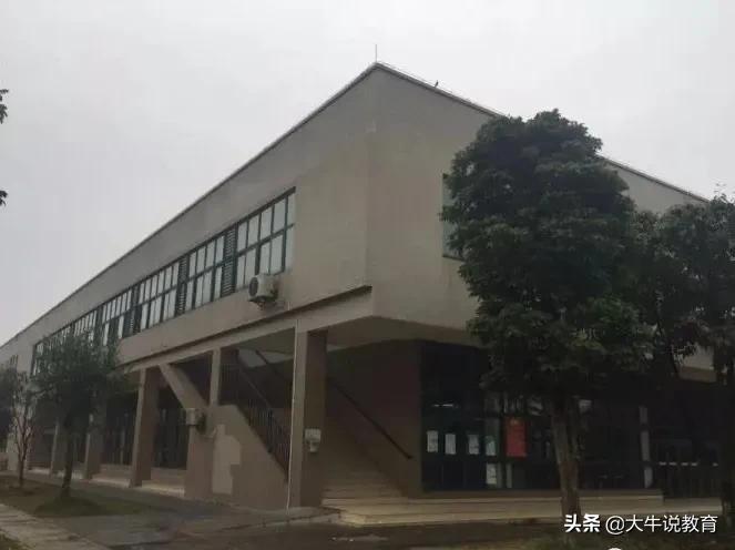 师陶圣地,育才摇篮,近七年数据深度剖析,祝中考学子乘风破浪