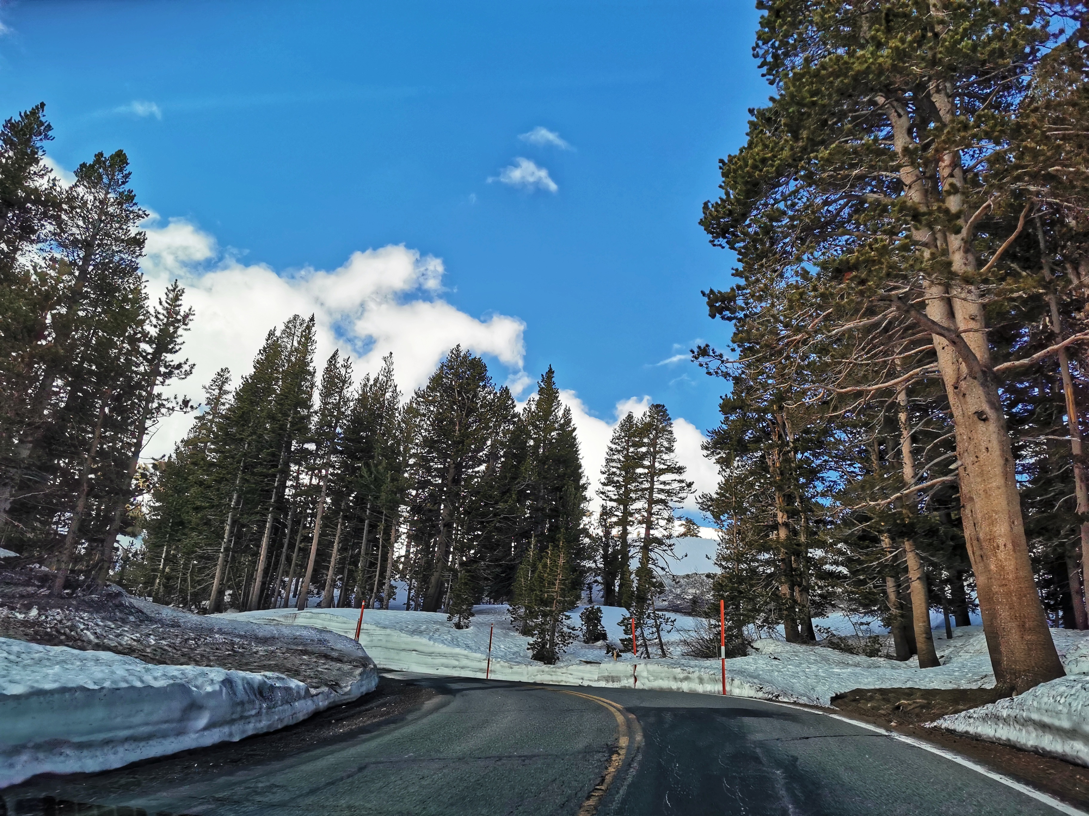 加利福尼亚优胜美地,美国旧金山优胜美地