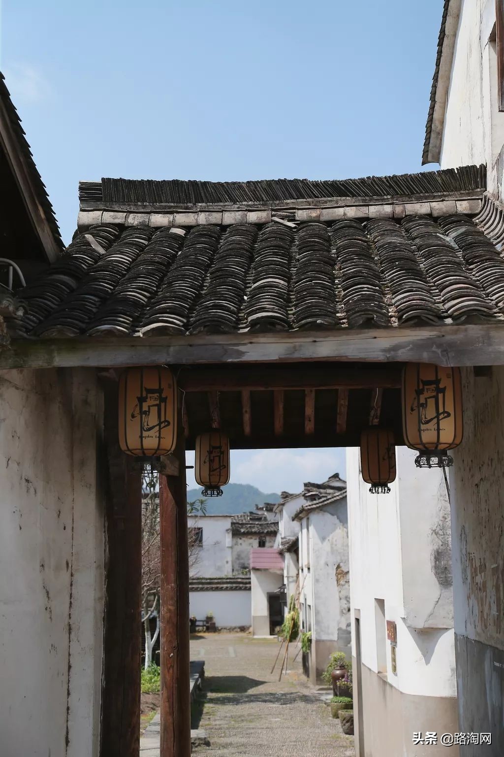 五一小长假结束再看一波各地美景,五一小长假去哪登山踏青看花好