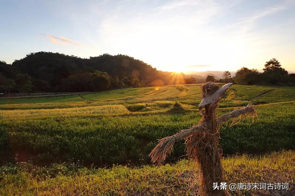 乡村印记一乡一景,远去的乡村符号