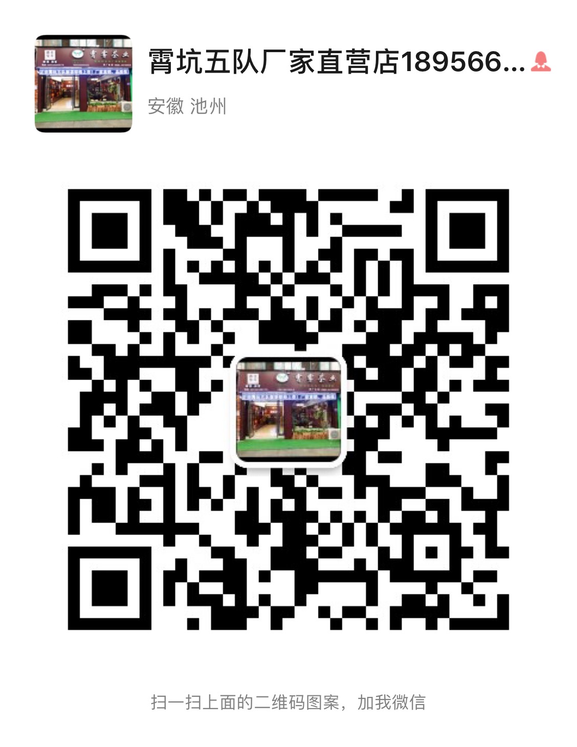 春茶上市今年的第1杯茶你喝了吗,春茶绿茶上市