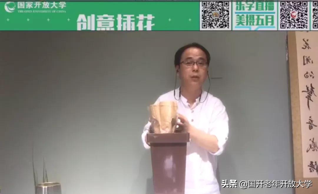 老年大学插花教程,创意插花课