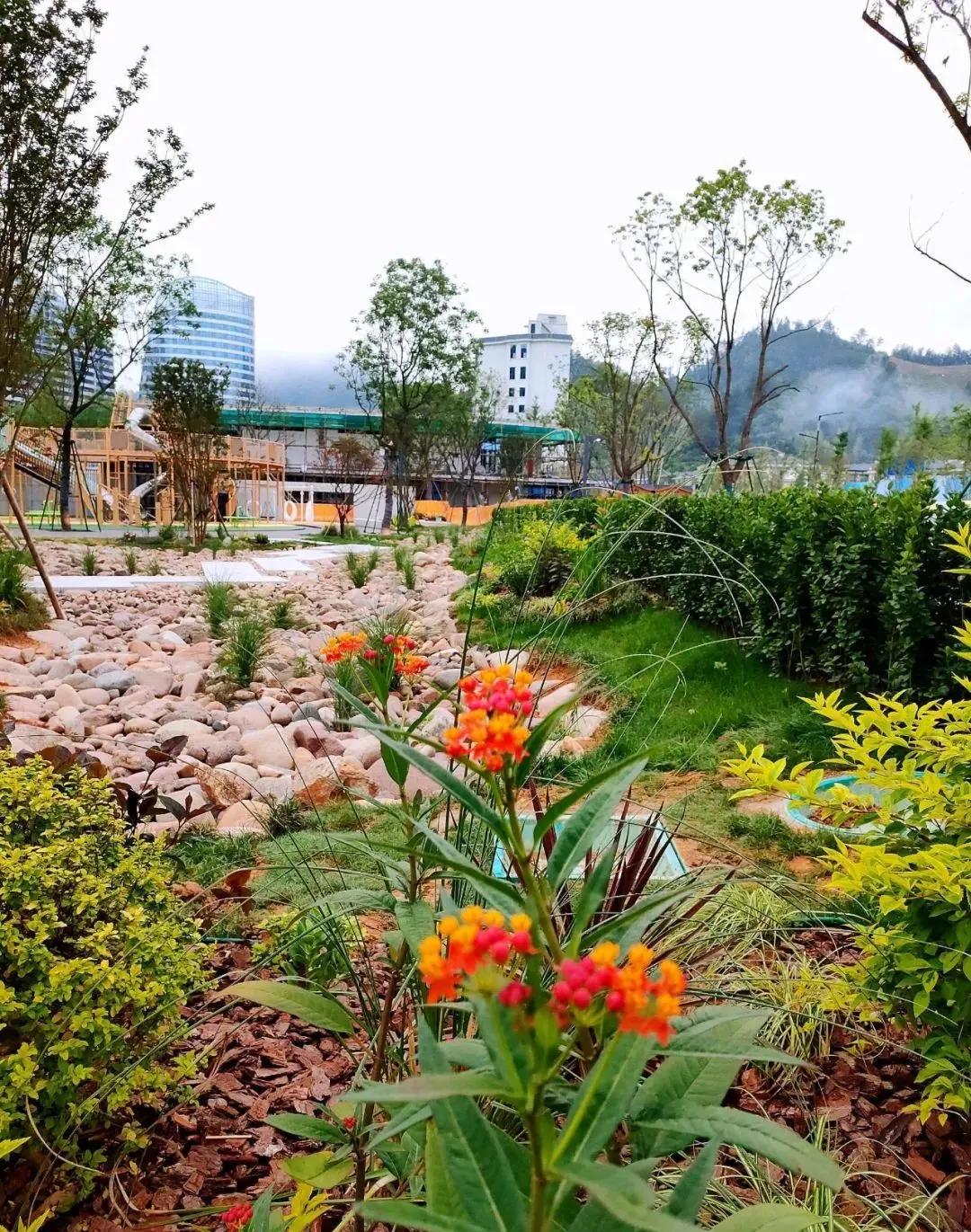 篮球场亲子运动健身,全民健身公园篮球场开放时间