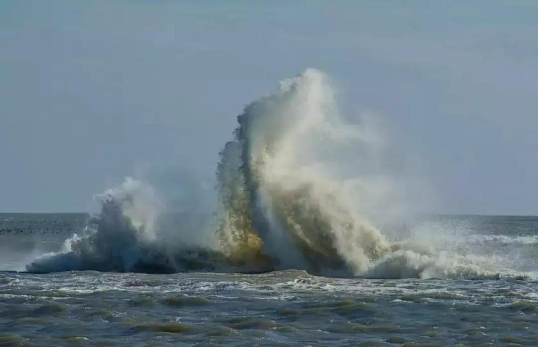 东营微文化现状,东营微文化有稿费吗
